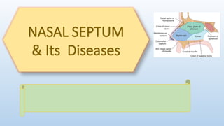 septum and its diseasese detail presentation .pptx