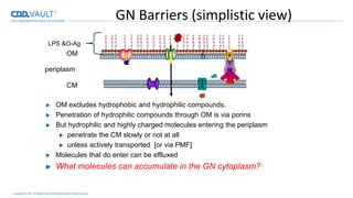 Copyright © 2017 All Rights Reserved Collaborative Drug Discovery
GN Barriers (simplistic view)
OM
CM
periplasm
LPS &O-Ag
...