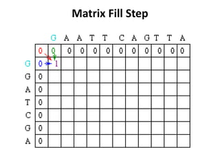 Matrix Fill Step
 