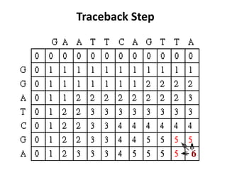 Traceback Step
 