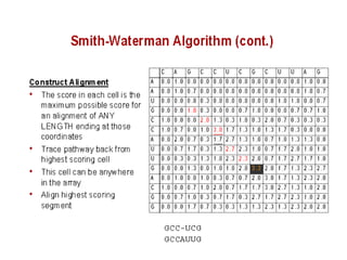 seq alignment.ppt