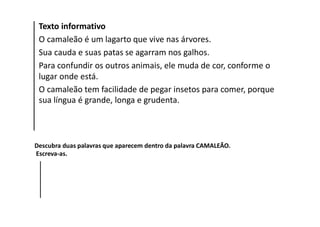 Texto informativo
O camaleão é um lagarto que vive nas árvores.
Sua cauda e suas patas se agarram nos galhos.
Para confundir os outros animais, ele muda de cor, conforme o
lugar onde está.
O camaleão tem facilidade de pegar insetos para comer, porque
sua língua é grande, longa e grudenta.
Descubra duas palavras que aparecem dentro da palavra CAMALEÃO.
Escreva‐as.
 