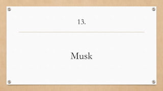 13.
Musk
 