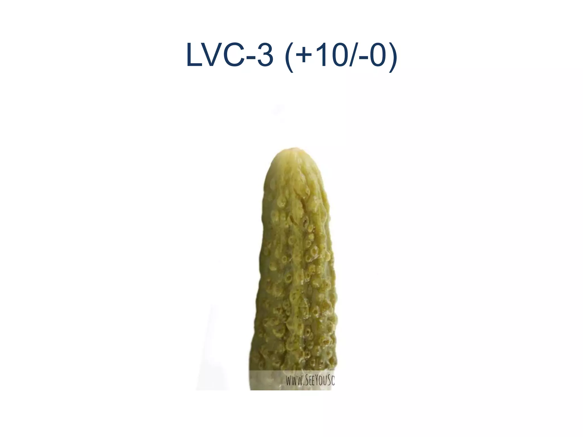 LVC-3 (+10/-0)
 