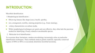 Microbial identification-Sequencing/KR/. | PDF