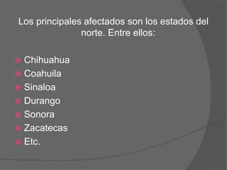Los principales afectados son los estados del
norte. Entre ellos:
 Chihuahua
 Coahuila
 Sinaloa
 Durango
 Sonora
 Zacatecas
 Etc.
 
