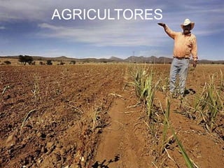 AGRICULTORES
 