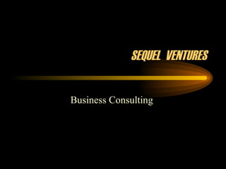 SEQUEL  VENTURES Business Consulting  