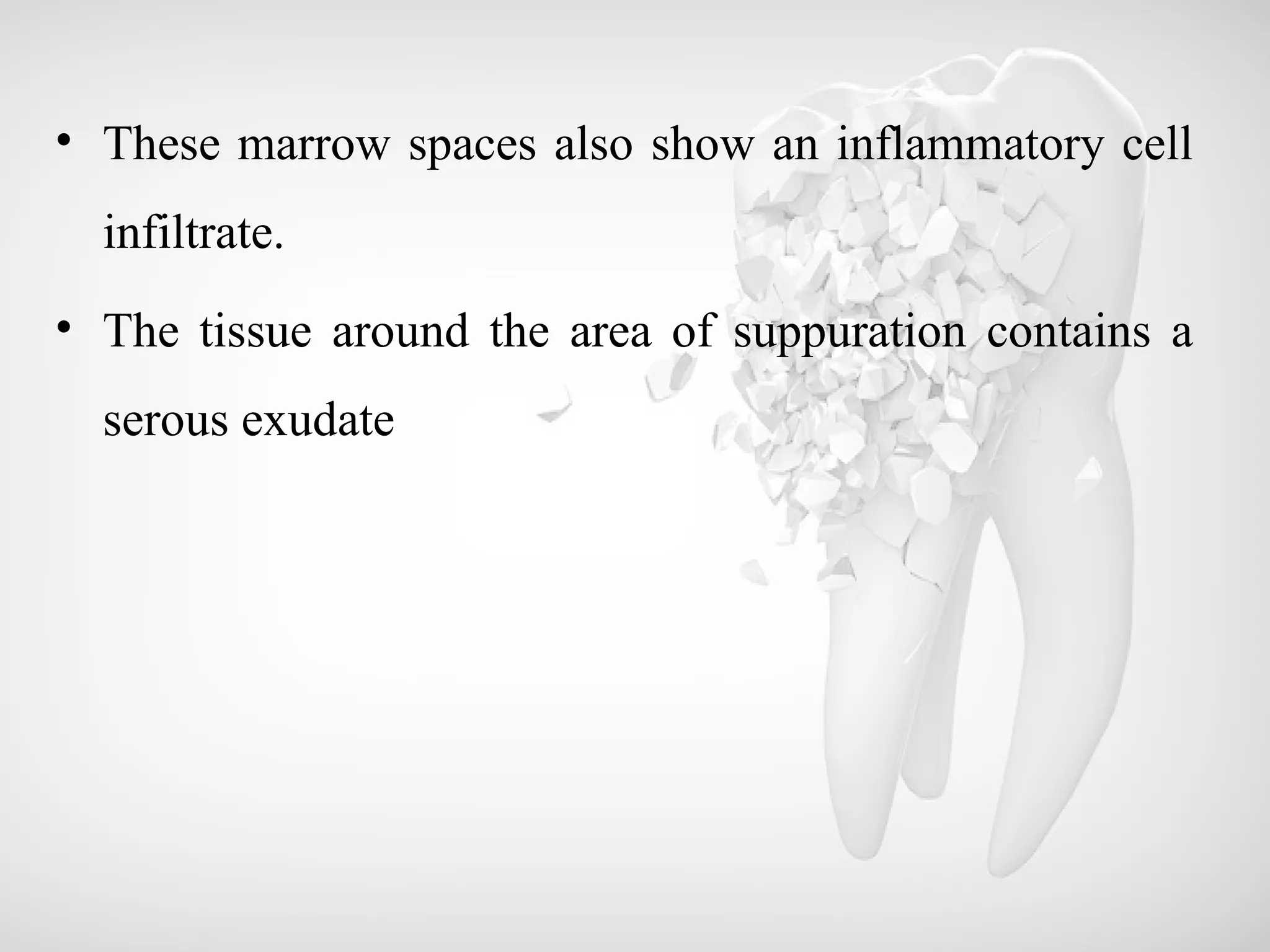 • These marrow spaces also show an inflammatory cell
infiltrate.
• The tissue around the area of suppuration contains a
serous exudate
 
