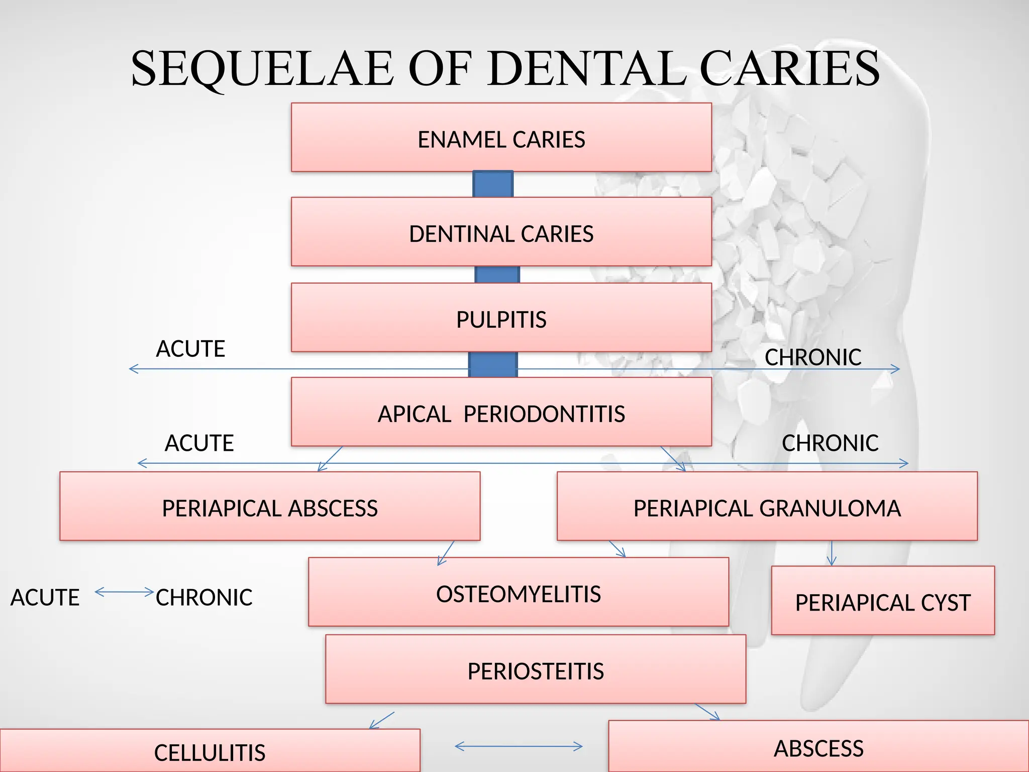 SEQUELAE OF DENTAL CARIES
ENAMEL CARIES
DENTINAL CARIES
PULPITIS
APICAL PERIODONTITIS
PERIAPICAL ABSCESS PERIAPICAL GRANULOMA
OSTEOMYELITIS
PERIOSTEITIS
PERIAPICAL CYST
ABSCESS
CELLULITIS
ACUTE
CHRONIC
ACUTE
CHRONIC
ACUTE CHRONIC
 