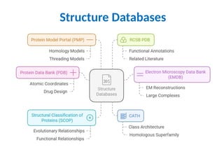 Structure Databases
 