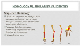 HOMOLOGY VS. SIMILARITY VS. IDENTITY
Sequence Homology
 When two sequences are emerged from
a common evolutionary origin (same
biological ancestor), then it is said to be
homologous relationship.
Sequence that shares common
evolutionary origin (does the same
function) are homologous
 It is qualitative term.
 