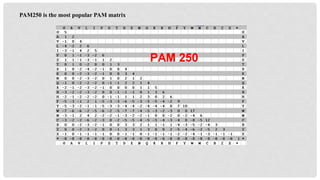 PAM250 is the most popular PAM matrix
 
