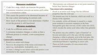 Nonsense mutations
 Code for a stop, which can truncate the protein.
 A nonsense mutation converts an amino acid codon
into a termination codon.
 This causes the protein to be shortened because of
the stop codon interrupting its normal code.
 How much of the protein is lost determines whether
or not the protein is still functional.
Missense mutations
 Code for a different amino acid.
 A missense mutation changes a codon so that a
different protein is created, a non-synonymous
change.
Conservative mutations
 Result in an amino acid change.
 However, the properties of the amino acid remain the
same (e.g., hydrophobic, hydrophilic, etc.).
 At times, a change to one amino acid in the protein is not
detrimental to the organism as a whole.
 Most proteins can withstand one or two point mutations
before their function changes.
Non-conservative mutations
 Result in an amino acid change that has different
properties than the wild type.
 The protein may lose its function, which can result in a
disease in the organism.
 For example, sickle-cell disease is caused by a single
point mutation (a missense mutation) in the beta-
hemoglobin gene that converts a GAG codon into GUG,
which encodes the amino acid valine rather than glutamic
acid.
 The protein may also exhibit a "gain of function" or
become activated, such is the case with the mutation
changing a valine to glutamic acid in the braf gene; this
leads to an activation of the RAF protein which causes
unlimited proliferative signalling in cancer cells.
 These are both examples of a non-conservative
(missense) mutation.
 