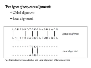 Two types of sequence alignment:
–Global alignment
–Local alignment
Fig.: Distinction between Global and Local alignment of two sequences
 