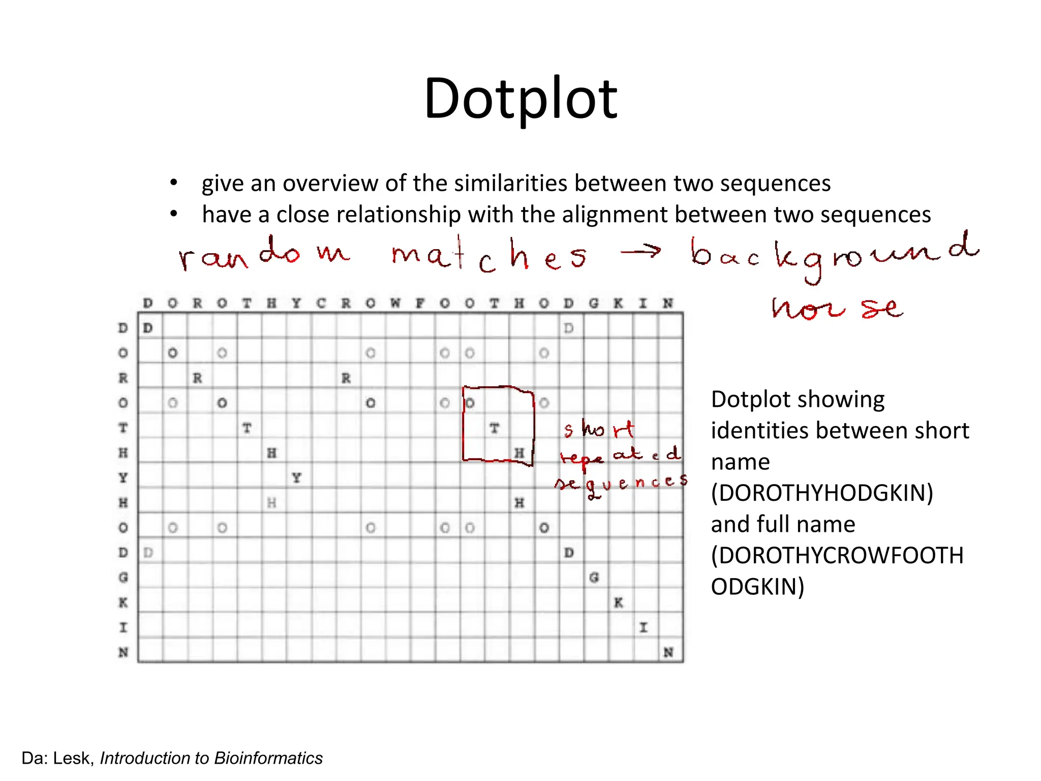 Dotplot
• give an overview of the similarities between two sequences
• have a close relationship with the alignment between two sequences
Da: Lesk, Introduction to Bioinformatics
Dotplot showing
identities between short
name
(DOROTHYHODGKIN)
and full name
(DOROTHYCROWFOOTH
ODGKIN)
 