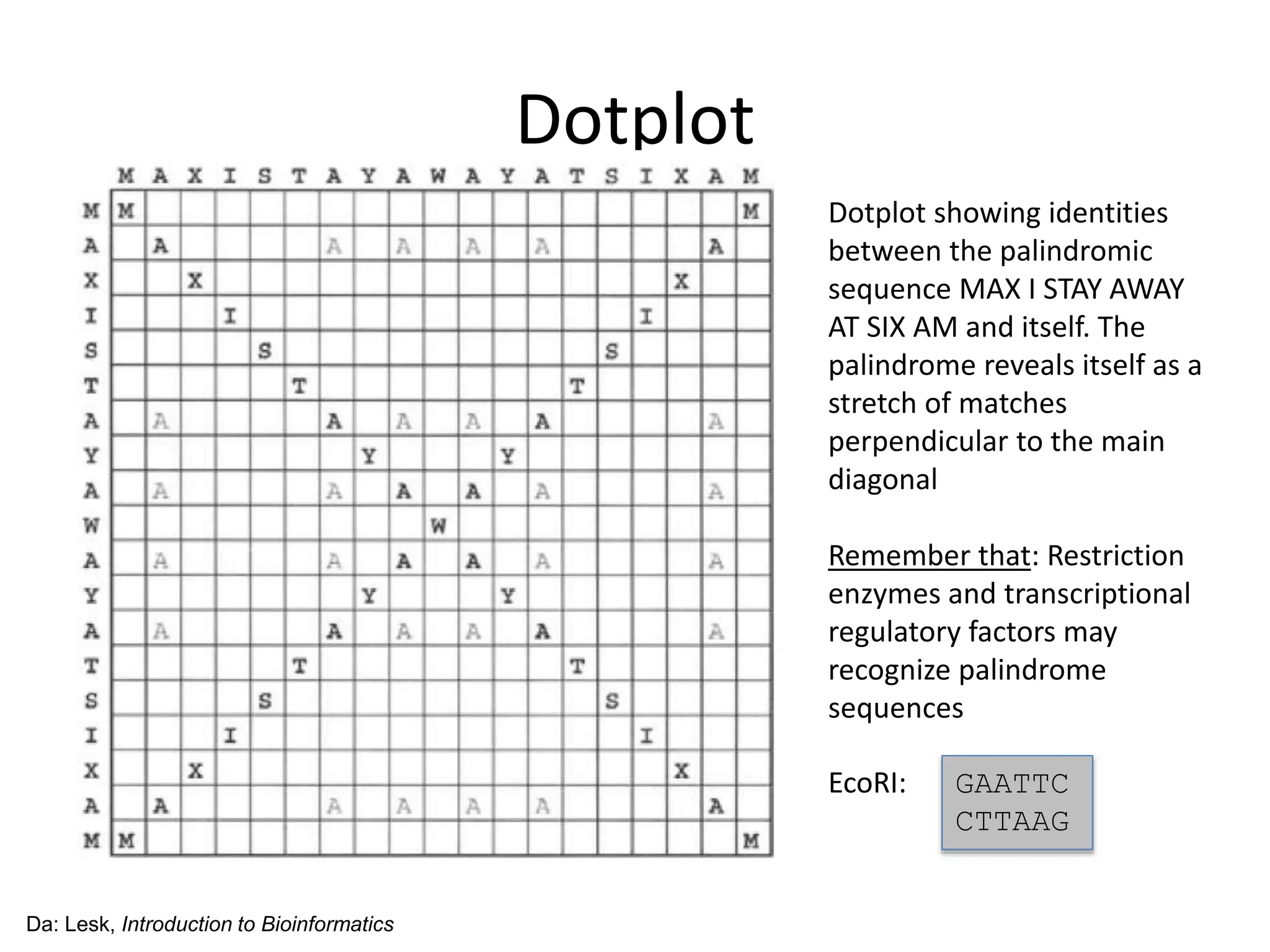 Dotplot
Da: Lesk, Introduction to Bioinformatics
Dotplot showing identities
between the palindromic
sequence MAX I STAY AWAY
AT SIX AM and itself. The
palindrome reveals itself as a
stretch of matches
perpendicular to the main
diagonal
Remember that: Restriction
enzymes and transcriptional
regulatory factors may
recognize palindrome
sequences
EcoRI: GAATTC
CTTAAG
 