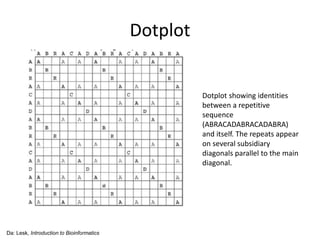 Dotplot
Da: Lesk, Introduction to Bioinformatics
Dotplot showing identities
between a repetitive
sequence
(ABRACADABRACADABRA)
and itself. The repeats appear
on several subsidiary
diagonals parallel to the main
diagonal.
 