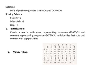 Example
Let's align the sequences GATTACA and GCATGCU.
Scoring Scheme:
Match: +1
Mismatch: -1
Gap: -1
1. Initialization:
Create a matrix with rows representing sequence GCATGCU and
columns representing sequence GATTACA. Initialize the first row and
column with gap penalties.
2. Matrix Filling:
 