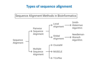 Types of sequence alignment
 