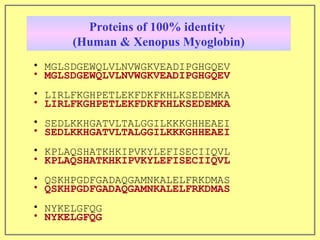 Proteins of 100% identity  (Human & Xenopus Myoglobin) MGLSDGEWQLVLNVWGKVEADIPGHGQEV LIRLFKGHPETLEKFDKFKHLKSEDEMKA SEDLKKHGATVLTALGGILKKKGHHEAEI KPLAQSHATKHKIPVKYLEFISECIIQVL QSKHPGDFGADAQGAMNKALELFRKDMAS NYKELGFQG MGLSDGEWQLVLNVWGKVEADIPGHGQEV LIRLFKGHPETLEKFDKFKHLKSEDEMKA SEDLKKHGATVLTALGGILKKKGHHEAEI KPLAQSHATKHKIPVKYLEFISECIIQVL QSKHPGDFGADAQGAMNKALELFRKDMAS NYKELGFQG 