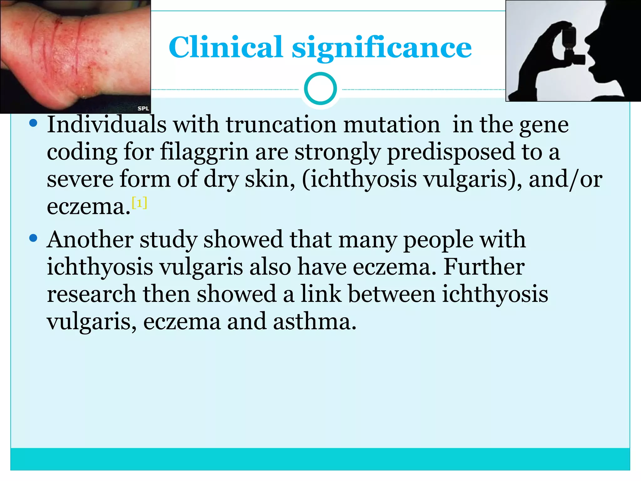 Clinical significance Individuals with truncation mutation  in the gene coding for filaggrin are strongly predisposed to a severe form of dry skin, (ichthyosis vulgaris), and/or eczema. [1] Another study showed that many people with ichthyosis vulgaris also have eczema. Further research then showed a link between ichthyosis vulgaris, eczema and asthma. 