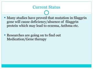 Current Status Many studies have proved that mutation in filaggrin gene will cause deficiency/absence of  filaggrin protein which may lead to eczema, Asthma etc.  Researches are going on to find out Medication/Gene therapy  