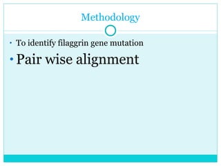Methodology To identify filaggrin gene mutation Pair wise alignment 