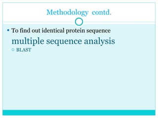 Methodology  contd . To find out identical protein sequence multiple sequence analysis BLAST 