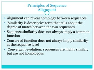 Principles of Sequence Alignment Alignment can reveal homology between sequences Similarity is descriptive term that tells about the degree of match between the two sequences Sequence similarity does not always imply a common function Conserved function does not always imply similarity at the sequence level Convergent evolution: sequences are highly similar, but are not homologous 
