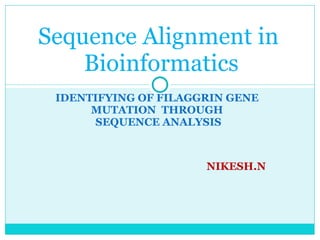 IDENTIFYING OF FILAGGRIN GENE MUTATION  THROUGH  SEQUENCE ANALYSIS NIKESH.N Sequence Alignment in  Bioinformatics 