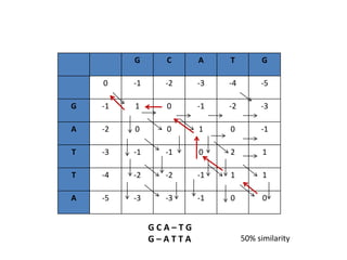 Sequence alignment unit 3 | PPTX