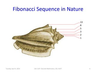 Fibonacci Sequence in Nature
Tuesday, April 9, 2024 CSE 1107: Discrete Mathmatics, CSE, KUET 6
13
8
5
3
2
1
 