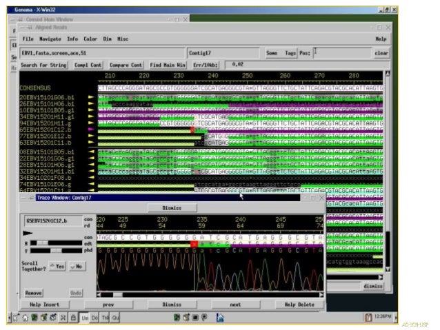 bioedit sequence assembly bioedit sequence assembly