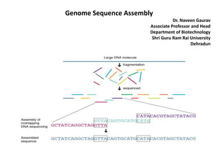 Genome Sequence Assembly
Dr. Naveen Gaurav
Associate Professor and Head
Department of Biotechnology
Shri Guru Ram Rai University
Dehradun
 