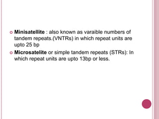 Minisatellite Example Sequenced taged sites (sts) | PPTX