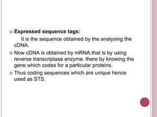Sequenced taged sites (sts) | PPT