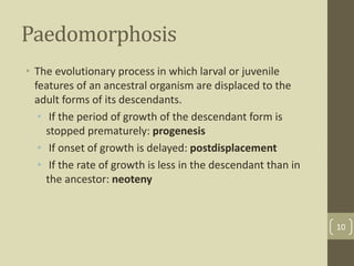 Evolution Vs Development PPTX Evolution Vs Development 10 320
