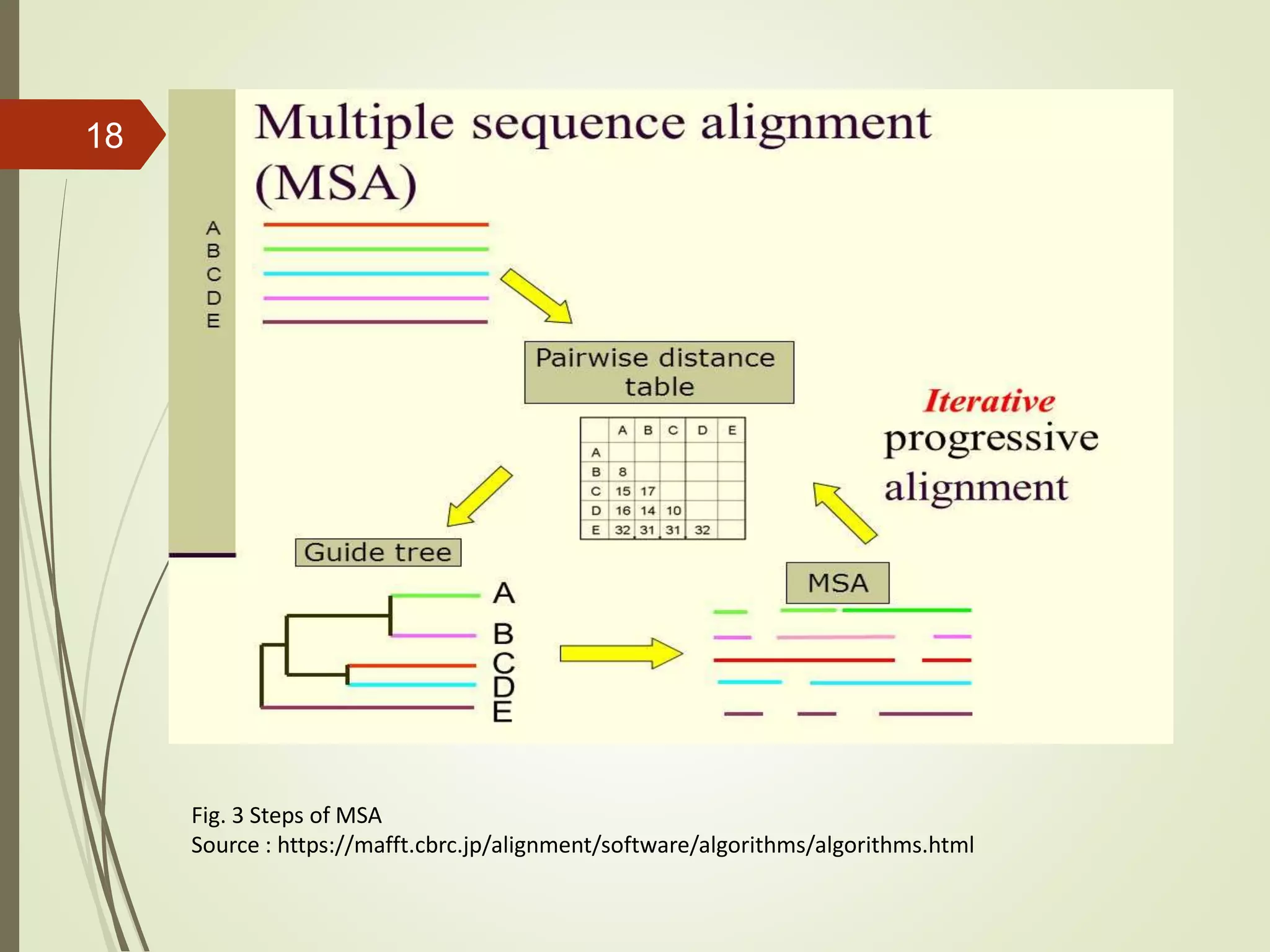 Sequence homology search and multiple sequence alignment(1) | PPTX