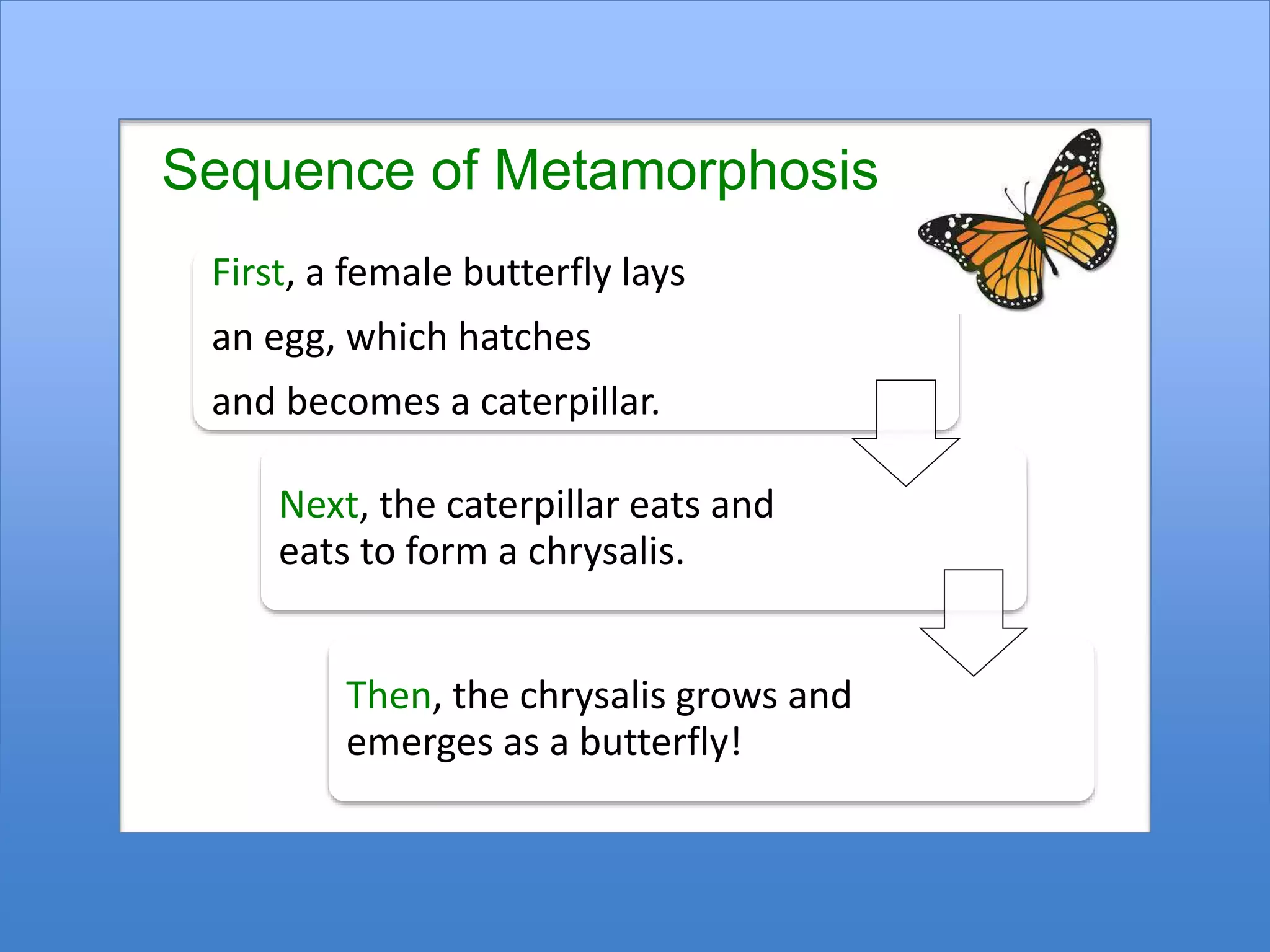 Sequence of Events | PPT