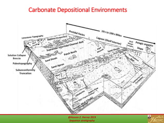 Carbonate Depositional Environments
22@Hassan Z. Harraz 2019
Sequence stratigraphy
 
