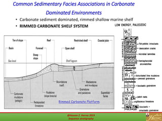 Common Sedimentary Facies Associations in Carbonate
Dominated Environments
• Carbonate sediment dominated, rimmed shallow marine shelf
• RIMMED CARBONATE SHELF SYSTEM
23
Rimmed Carbonate Platform
23@Hassan Z. Harraz 2019
Sequence stratigraphy
 