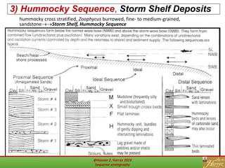28
3) Hummocky Sequence, Storm Shelf Deposits
hummocky cross stratified, Zoophycus burrowed, fine- to medium-grained,
sandstoneStorm Shelf, Hummocky Sequence
@Hassan Z. Harraz 2019
Sequence stratigraphy
 