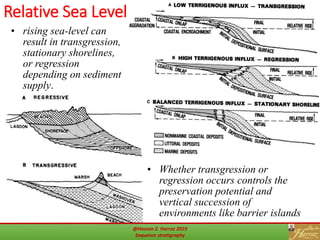 Relative Sea Level
44
• Whether transgression or
regression occurs controls the
preservation potential and
vertical succession of
environments like barrier islands
• rising sea-level can
result in transgression,
stationary shorelines,
or regression
depending on sediment
supply.
@Hassan Z. Harraz 2019
Sequence stratigraphy
 