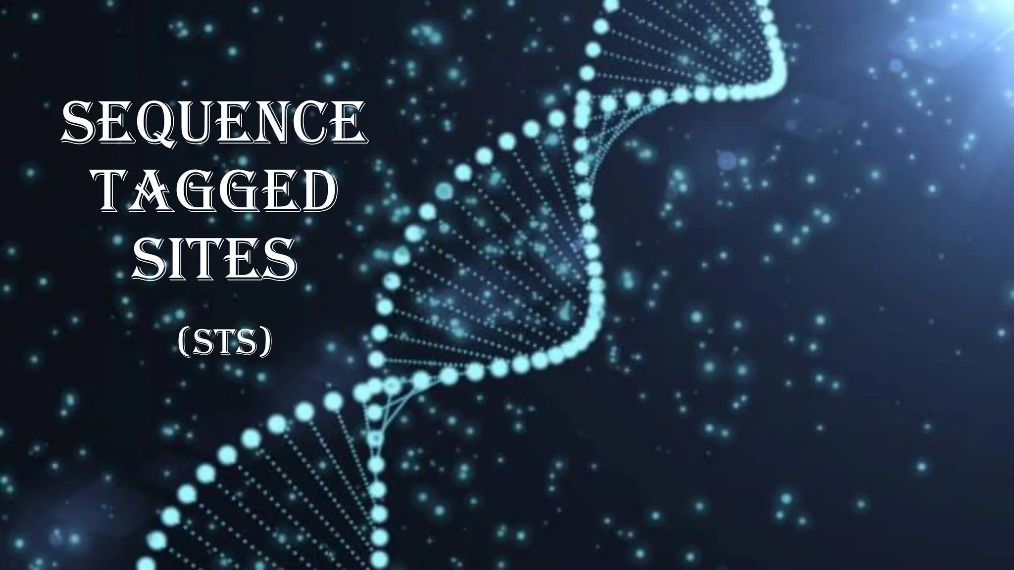 Sequence
Tagged
Sites
(STS)
 