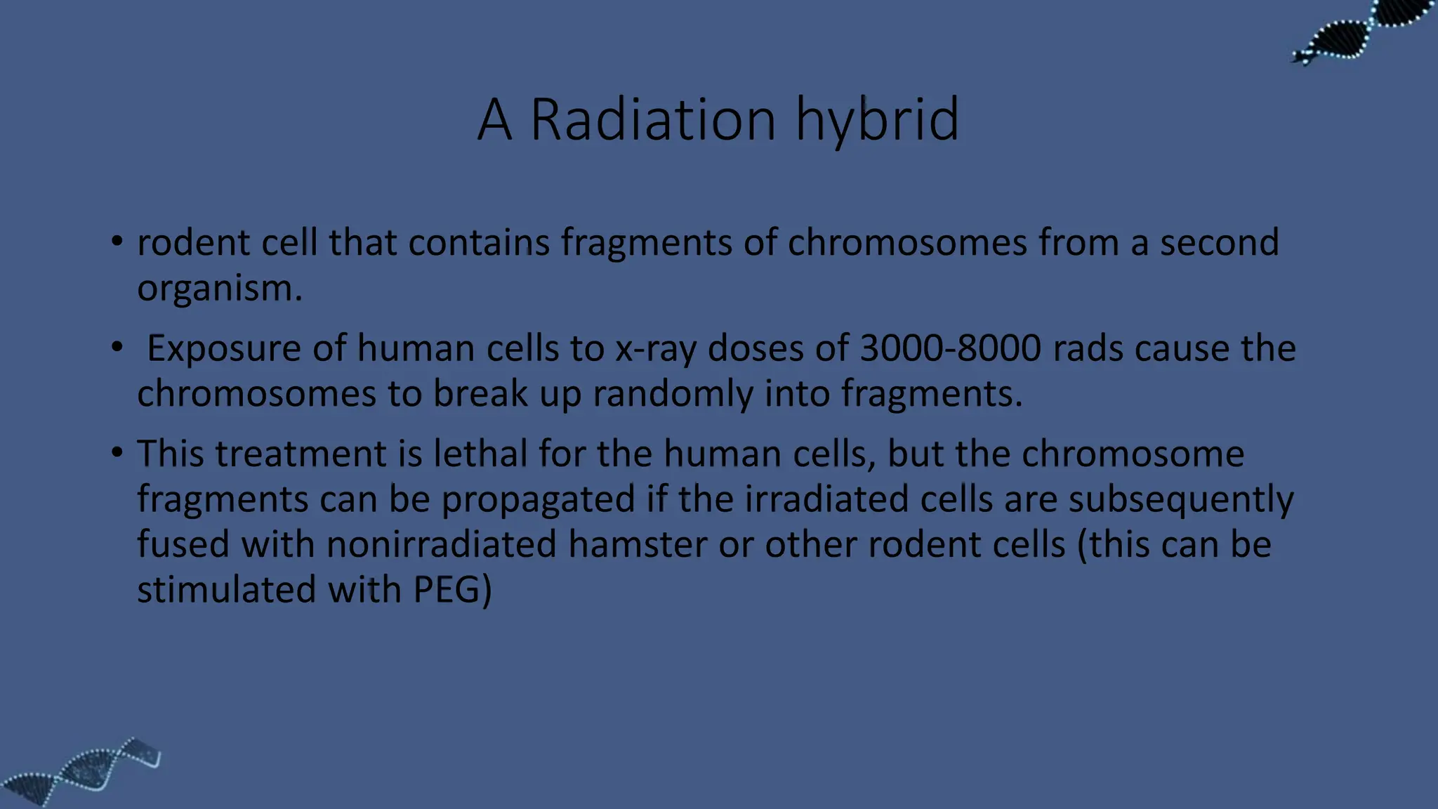 A Radiation hybrid
• rodent cell that contains fragments of chromosomes from a second
organism.
• Exposure of human cells to x-ray doses of 3000-8000 rads cause the
chromosomes to break up randomly into fragments.
• This treatment is lethal for the human cells, but the chromosome
fragments can be propagated if the irradiated cells are subsequently
fused with nonirradiated hamster or other rodent cells (this can be
stimulated with PEG)
 