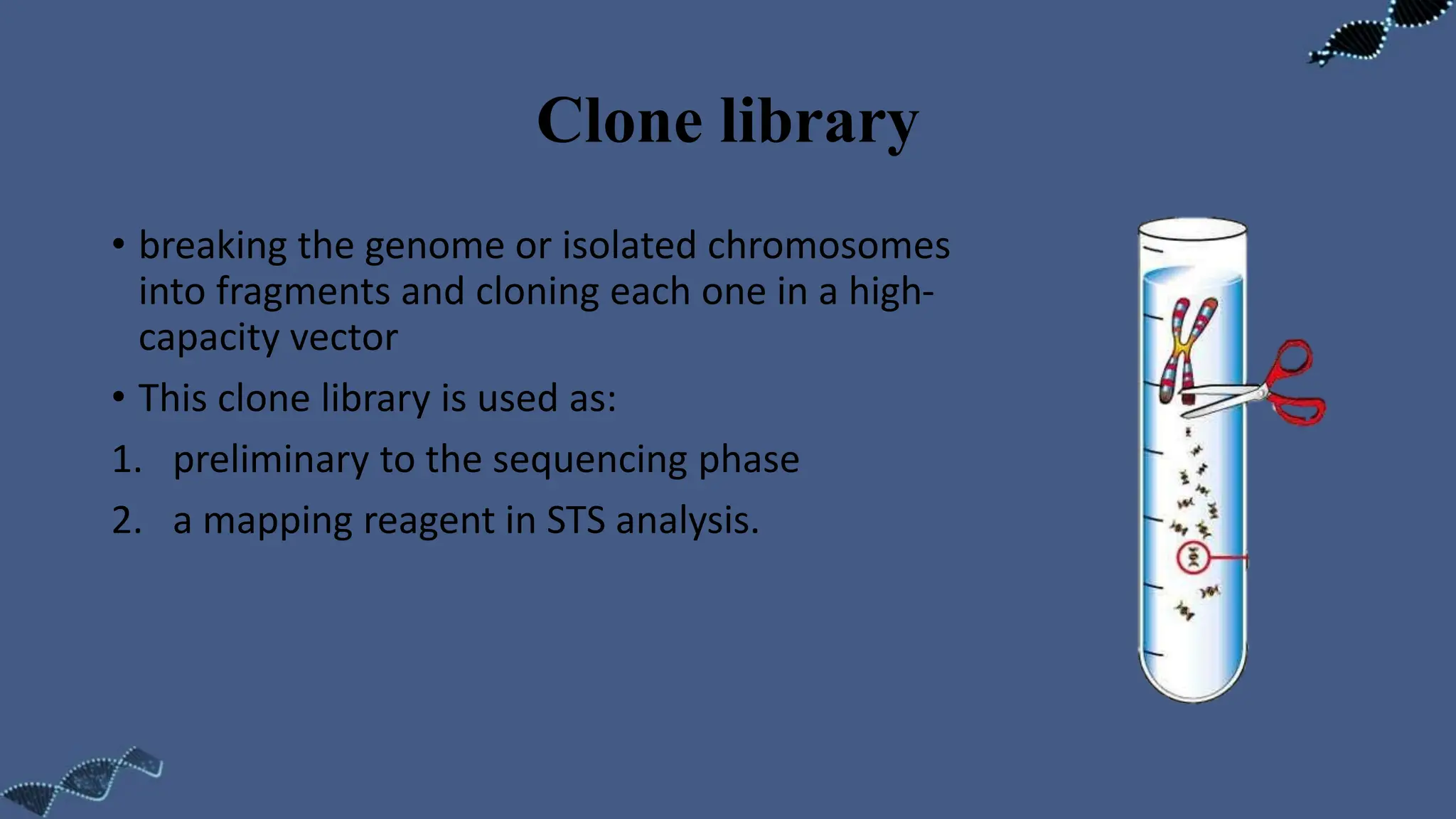 Clone library
• breaking the genome or isolated chromosomes
into fragments and cloning each one in a high-
capacity vector
• This clone library is used as:
1. preliminary to the sequencing phase
2. a mapping reagent in STS analysis.
 