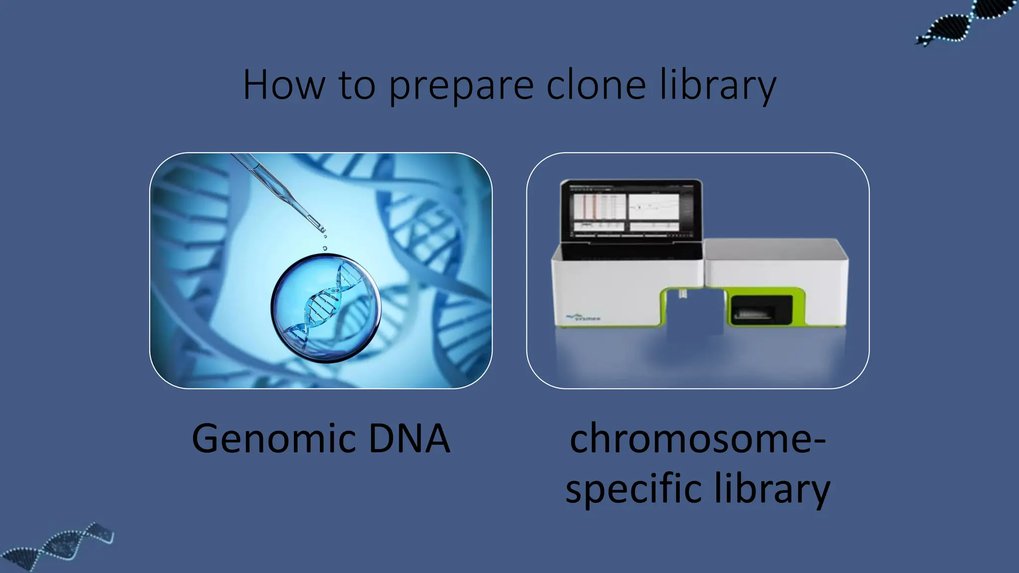 How to prepare clone library
Genomic DNA chromosome-
specific library
 