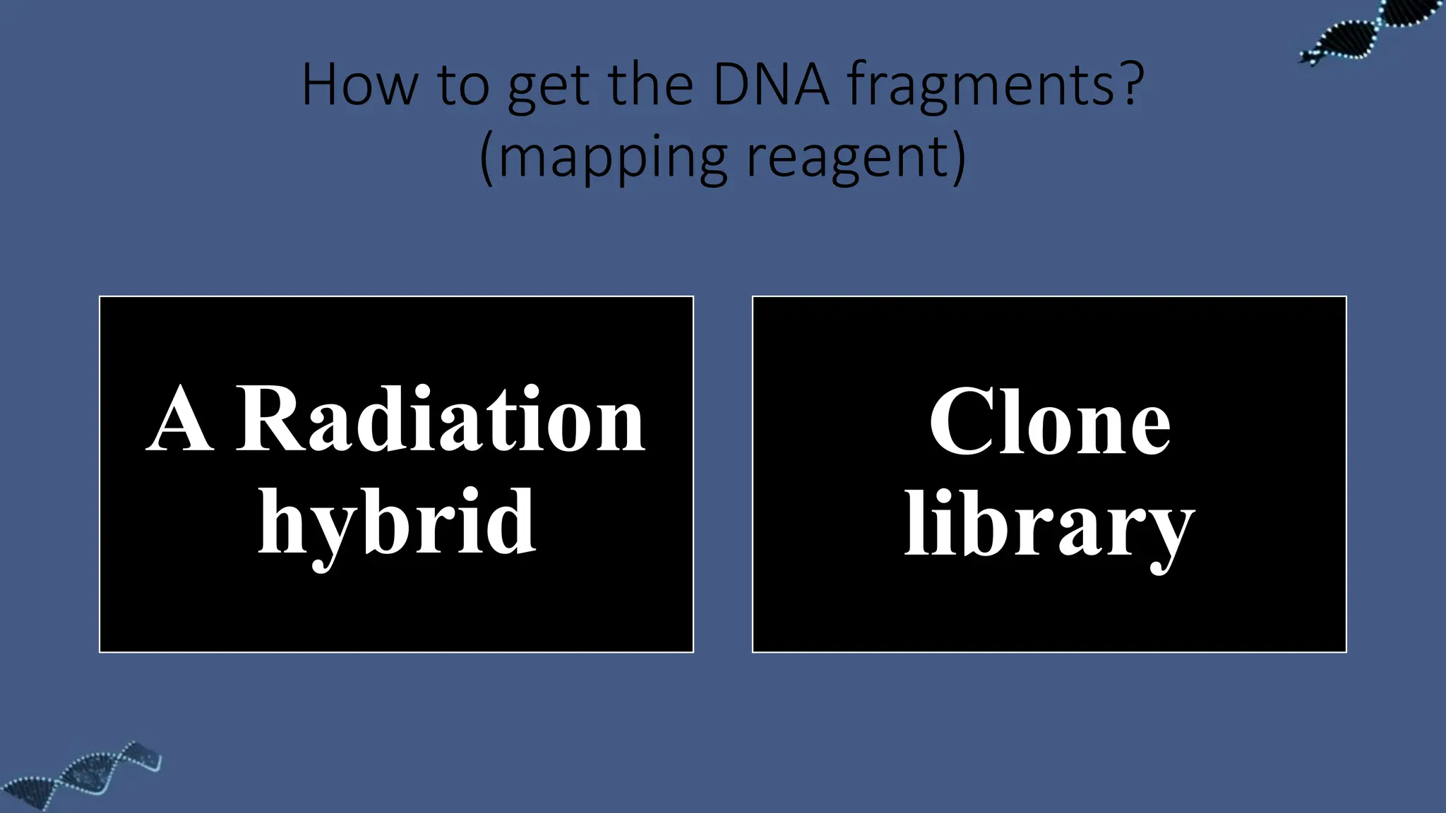 How to get the DNA fragments?
(mapping reagent)
A Radiation
hybrid
Clone
library
 
