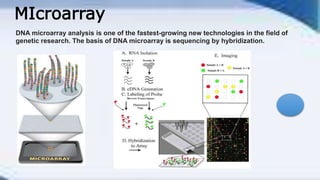 Sequenching by hybridization | PPTX